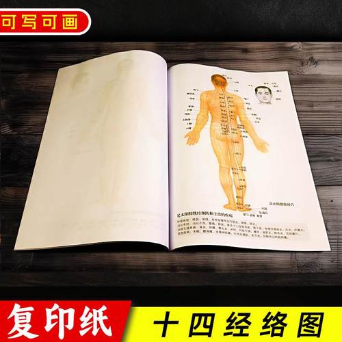 A3A4十四经络图照片冲印复印纸打印纸印刷定制来图定制可手写写字