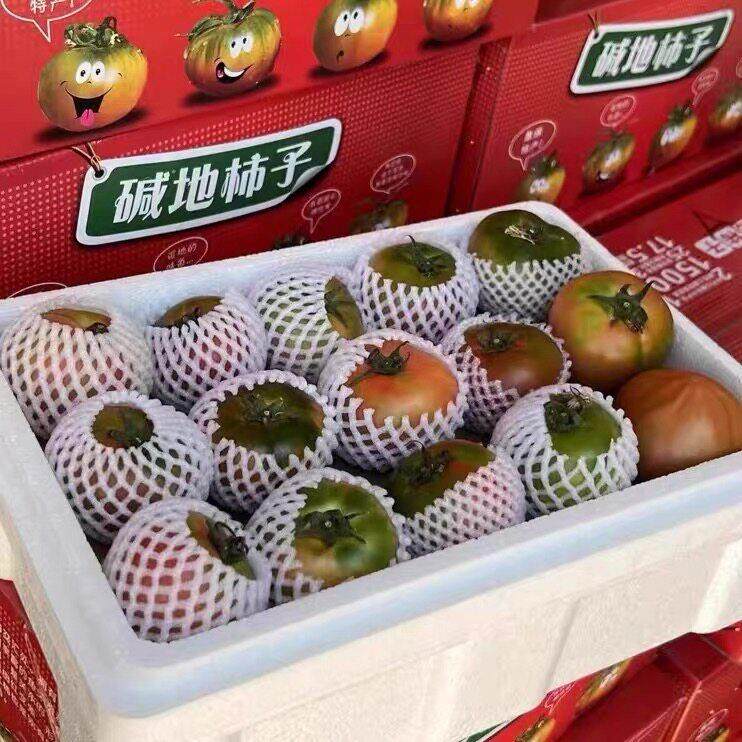 盘锦盐碱地柿子5斤礼盒装番茄番茄新鲜东北铁皮草莓顺丰包邮