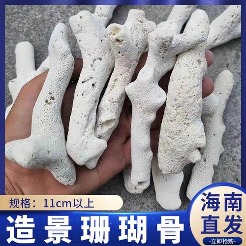 造景珊瑚骨11CM以上大支鱼缸造景专用过滤材料调节PH纸培菌温床