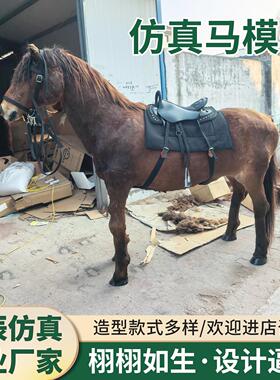 仿真动物马模型真皮毛动物标本大型庭院摆件景区黑马白马装饰摆件