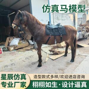 仿真动物马模型真皮毛动物标本大型庭院摆件景区黑马白马装饰摆件