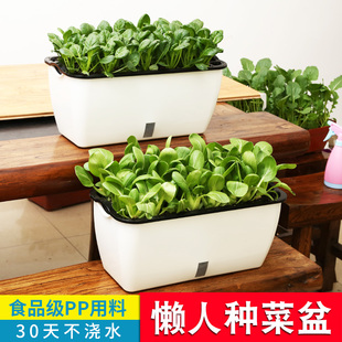 懒人自动吸水种菜盆长条方形花盆蔬菜种植箱家庭阳台花槽多肉养花