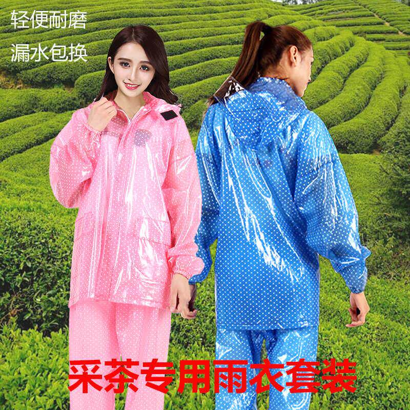 雨客行雨衣雨裤套装女款加厚防暴雨户外农活两件式全身防水采茶雨