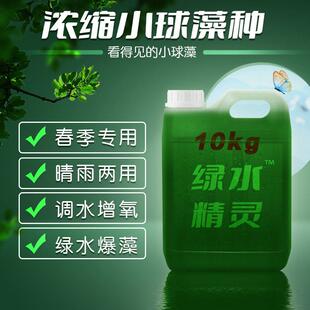 小球藻藻种浓缩藻种覆合藻种肥水培藻增氧水产养殖小球藻卵囊藻种