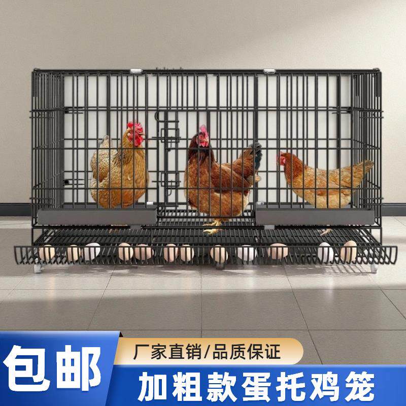 室内外自动滚蛋笼加粗鸡笼养殖笼带厕所室外铁丝鸭鹅全套加密鸡笼