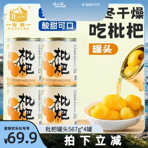 【福建溯源专场】宝峰鲜果枇杷糖水商用水果567g克罐头大罐琵琶