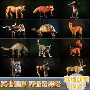 玛奇乐陆地动物模型象龟考拉羊驼黑猩猩考拉狐狸摆件仿真动物玩具