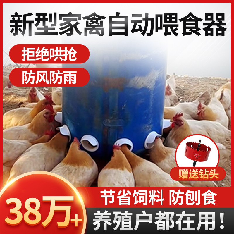 自动喂食器家禽喂鸡神器鸭鹅鸽子专用饲料桶鸡食槽养鸡自动下料器