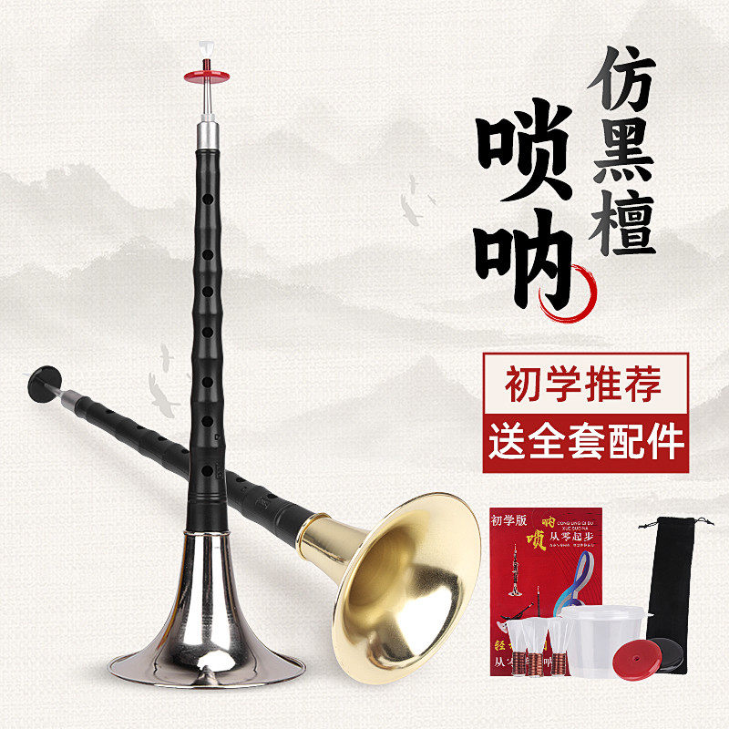 专业演奏仿黑檀唢呐乐器全套D调成人初学者入门小号喇叭哨片配件