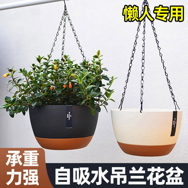 吊兰花盆吊篮悬挂式专用垂吊植物球兰矮牵牛霸王蕨卷叶牡丹大