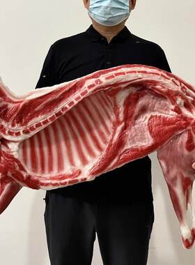 仿真羊肉模型展示生肉样品羊腿羊排道具吃播用品影视拍摄生全羊假