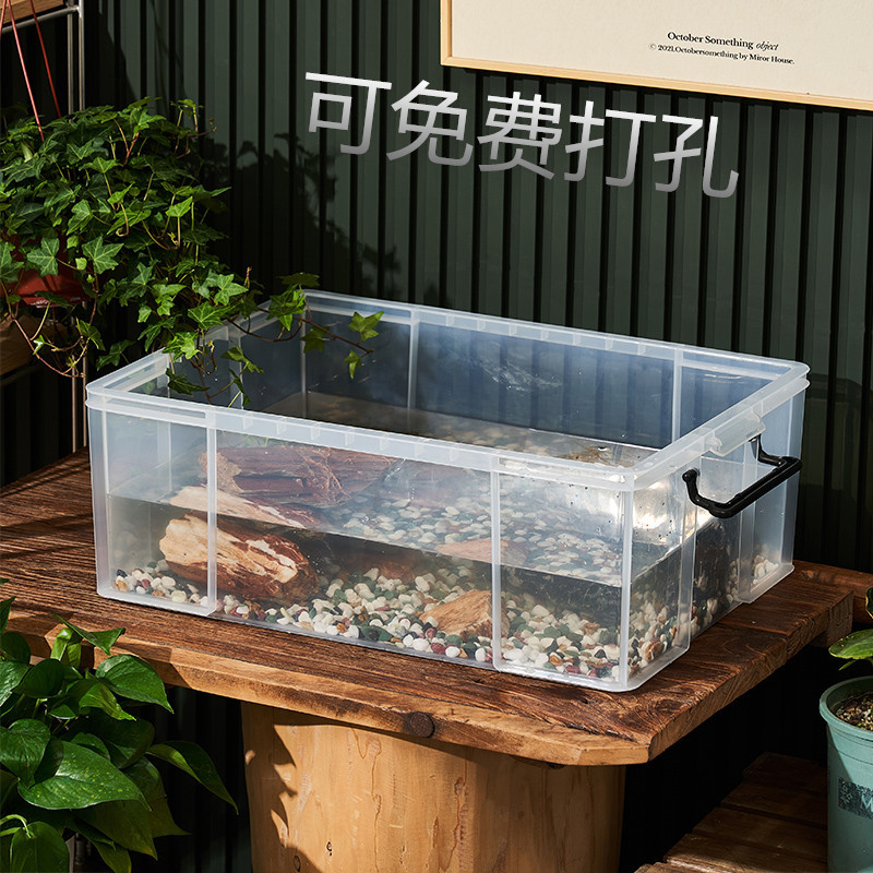乌龟周转箱家用过滤造景塑料专养龟缸透明生态箱生物养鱼养殖箱子