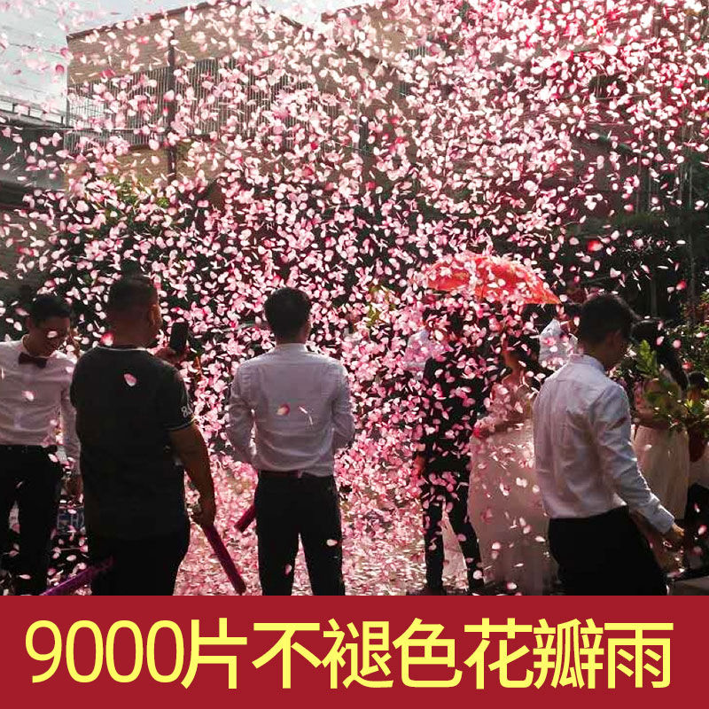 花瓣雨结婚礼炮礼花筒礼筒炮彩带喷手拧花筒喷花婚礼婚庆用