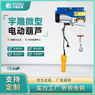 修上料小型提升机电动葫芦 宇雕微型电动葫芦小吊运机220V家用吊装