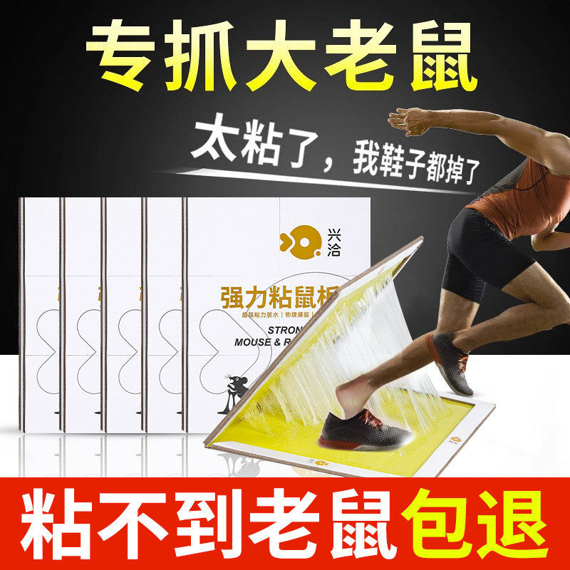 老鼠粘强力粘鼠板胶抓大老鼠贴家用灭捕鼠神器黏鼠板非药夹扑