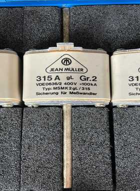 （明明电子）JEAN MULLER熔断器315A MSNK2gL/315