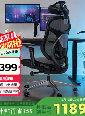 Ergoup/有谱幻影人体工学椅家用电脑椅子舒服久坐电竞椅办公