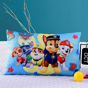 夏季冰丝枕套3到6岁以上儿童枕头幼儿园专用小孩宝宝枕芯四季通用