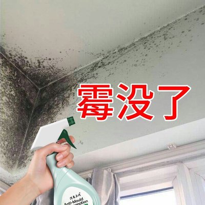 除霉剂墙体墙面去霉斑霉菌清洁剂墙壁防霉喷雾家用发霉处理清