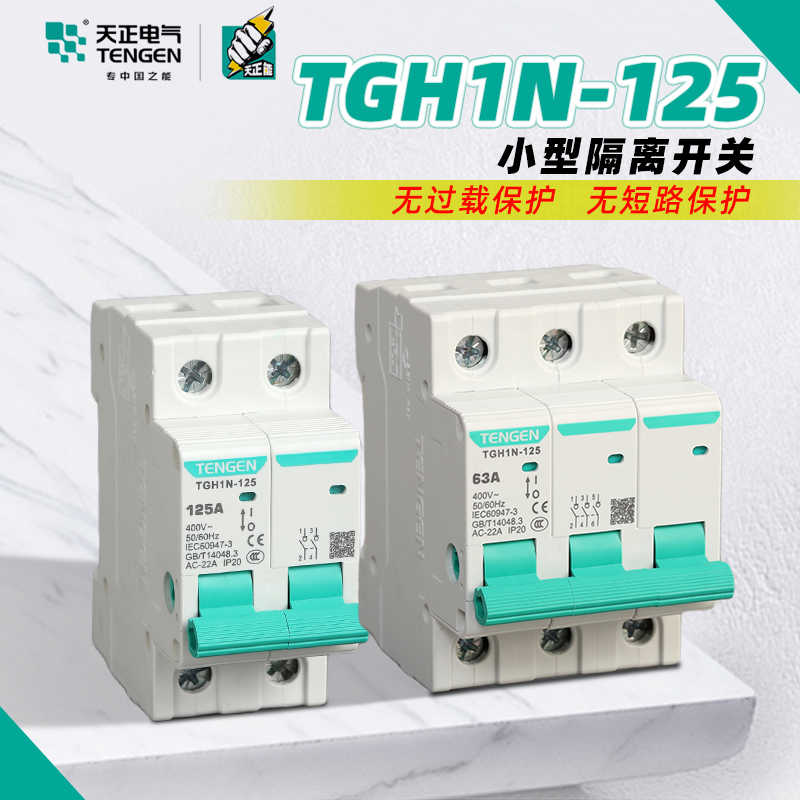 天正电气TENN TGH1N-125小型隔离开关断路器导轨式1P2P3P4P100A
