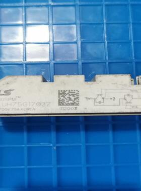LUH75G1703Z 货 模块~询价