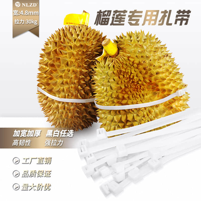 5*650尼龙扎带榴莲扎带白色自锁式绑扎带塑料扎带强力卡扣捆