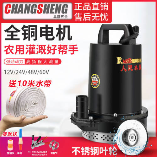 上海人民12V24V48V60V72V直流潜水泵电动车抽水泵电瓶车水泵