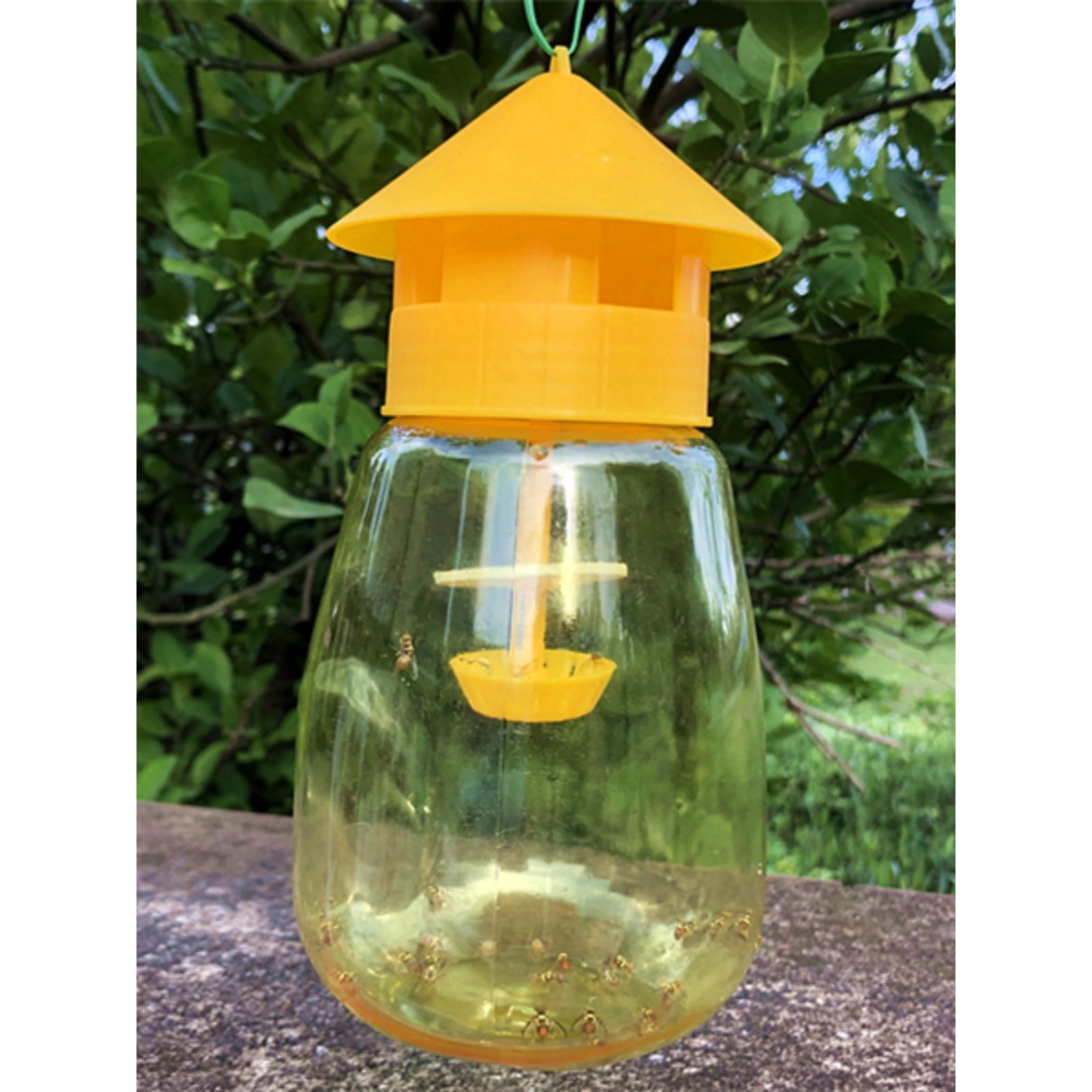 果蝇诱捕器瓜果园菜地桔小实蝇诱虫器诱粘剂粘蝇球针锋药水引诱剂