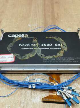 【星慕电子】capella wavepath 4500 9X1 如图所示