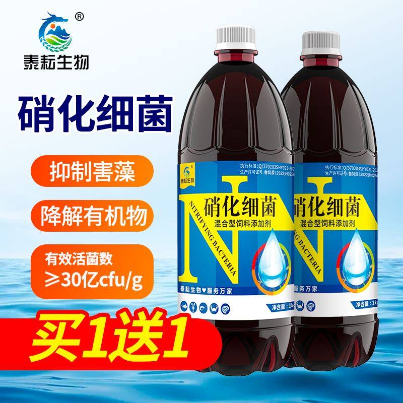 硝化细菌水产养殖专用降氨氮亚硝酸盐调节水质硝化菌鱼缸净水剂