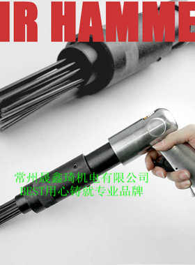 贝斯特19针气动枪型除锈机 气铲 针式除锈器 BESTE除锈枪头