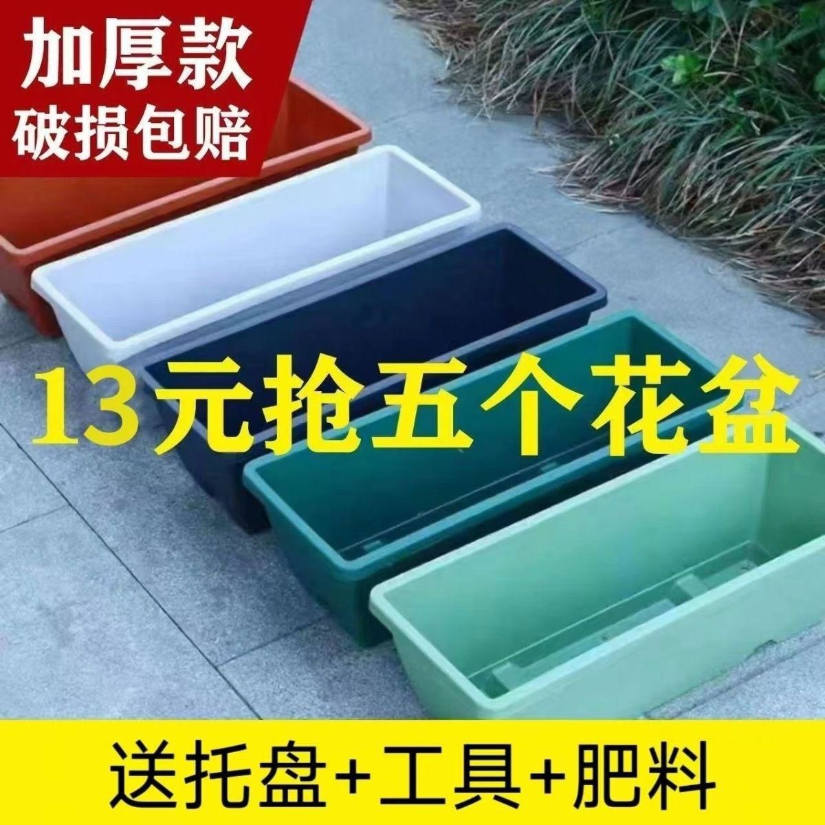 楼顶种菜专用箱泡沫箱种菜神器蔬菜种植箱种多肉种草莓绿植专用箱