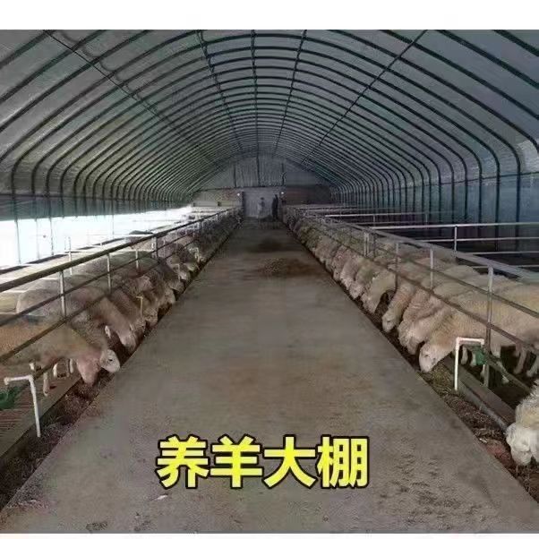 温室大棚支架骨架养殖钢管家用钢架蔬菜全套种植养鸡育苗保温拱棚