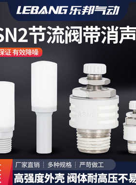 树脂节流消音消声器ASN2-M5/01/02/03/04直插式AN15/20-C06C08C