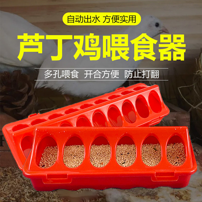 芦丁鸡喂食器自动食槽鹌鹑食盆鹦鹉下料器喂小鸡芦丁鸡用喂