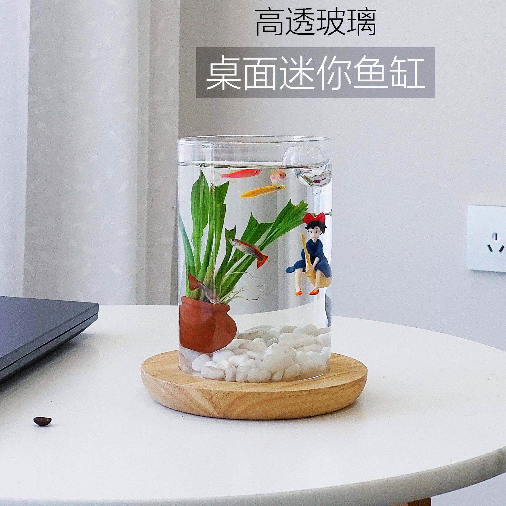 高透玻璃桌面迷你鱼缸小型造景生态缸观赏鱼创意水培绿植办公
