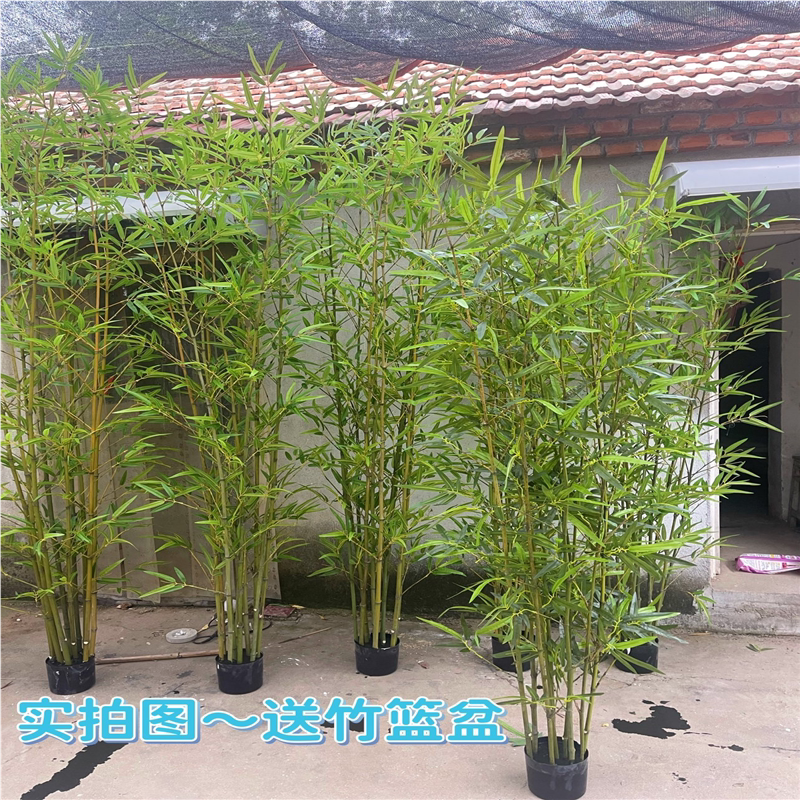 仿真竹子室内装饰假竹子隔断屏风挡墙订婚宴席装饰竹盆栽加密
