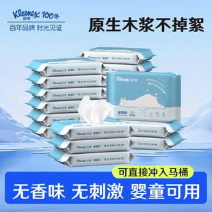 舒洁湿厕纸家庭实惠装40抽*20包私处湿巾擦菌洁厕湿纸巾厕纸擦