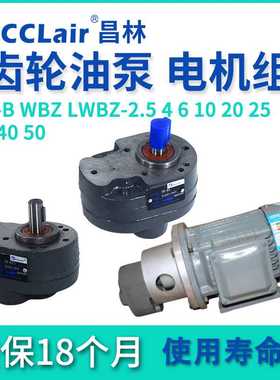 CB-B6齿轮泵4液压LWBZ油泵10B16BM20B25B32B40B50B63B80B100 12