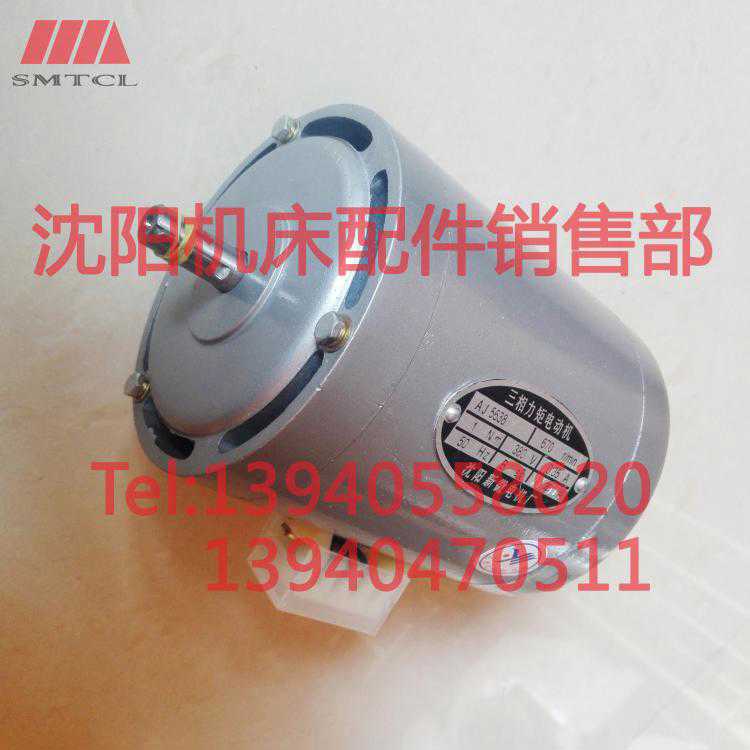 沈阳新微AJ5638三项力矩电动机微型380V卧式0.35A670立式50Hz