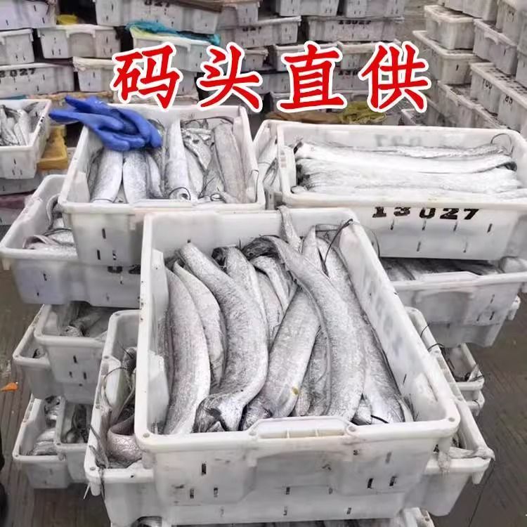 舟山带鱼整条特大野生东海新鲜正宗刀鱼冷冻鲜活海鲜无冰冷链