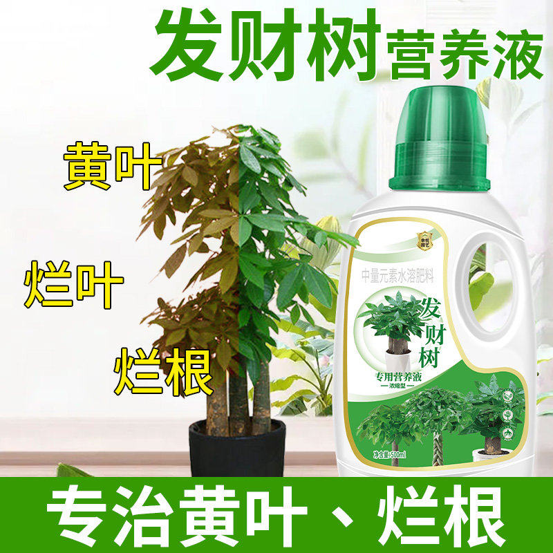 发财树营养液肥料专用肥治叶子发黄掉叶烂根室内盆栽植物花肥通用