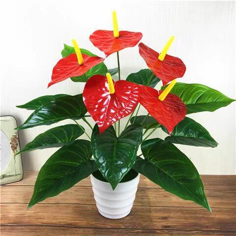 仿真植物红掌假花束客厅室内装饰盆栽摆设塑料绿植假花小盆景