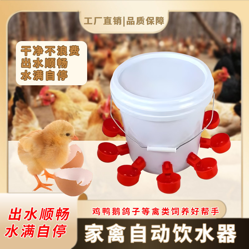鸡用自动饮水器全自动新款水碗鸭鹅鸽子鹌鹑桶装喝水碗雏鸡饮