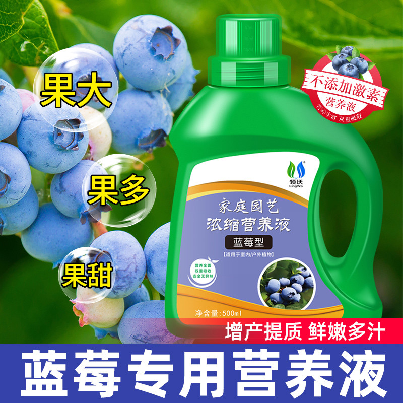 蓝莓肥料专用肥营养液家用果树盆栽蔬果增甜膨果水溶肥植物通用型