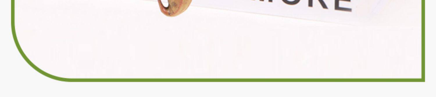 товар из китая 猪笼草盆栽捕蝇草食虫草食人花驱蚊虫超大猪笼草四季绿植趣味