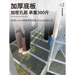 大号鸽子笼鸽舍特大鸽棚家用鸽笼大型养殖鸟笼鹦鹉笼繁殖专用笼子