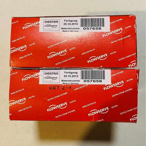 Flowserve Gestra NRT2-1 B 0576~询价
