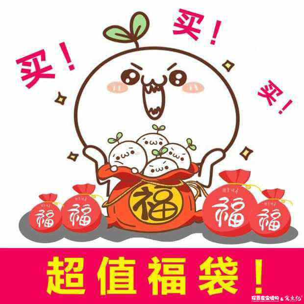 福袋 超值食虫植物 茅膏菜 捕蝇草 瓶子草 猪笼草 捕虫堇 狸藻