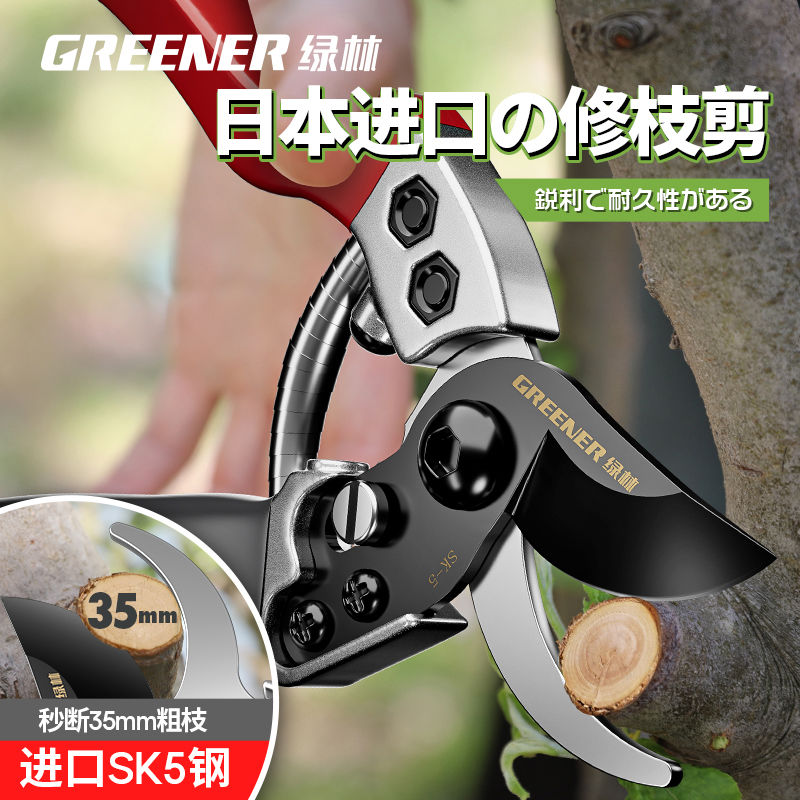 日本进口钢刀修剪果树修枝剪树枝专用剪刀园艺剪刀SK5枝花剪